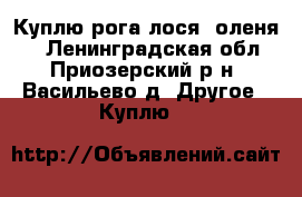 Куплю рога лося ,оленя.  - Ленинградская обл., Приозерский р-н, Васильево д. Другое » Куплю   